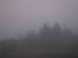 20 : 47