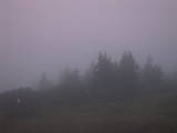 20 : 51