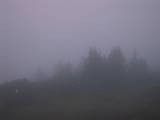 20 : 53