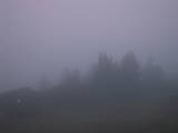 20 : 55