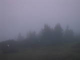 20 : 59