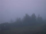 05 : 25