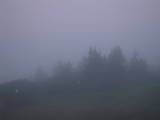 05 : 29
