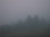 05 : 37