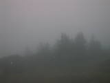 06 : 09