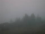 06 : 19
