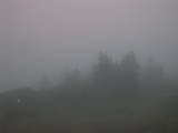 06 : 29
