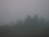 06 : 33