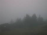 06 : 39