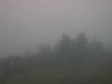06 : 41
