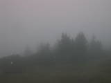 06 : 45