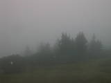 06 : 49