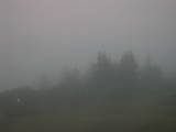 07 : 17