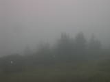 07 : 21