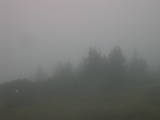 07 : 29