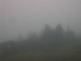 07 : 31