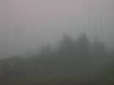 07 : 33