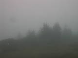 07 : 41