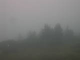 07 : 49