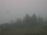 08 : 01