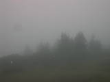 08 : 03