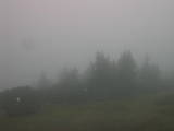 08 : 15