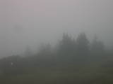 08 : 21