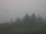 08 : 29