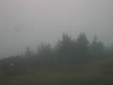 08 : 31