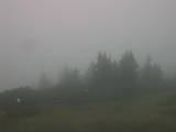 08 : 49