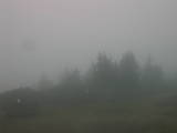09 : 21
