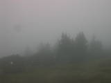 09 : 41