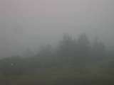 13 : 21