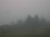 13 : 25