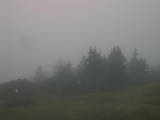 13 : 29