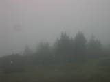 13 : 33