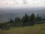 16 : 25