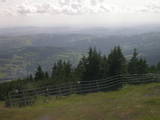 16 : 29