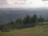 17 : 29