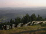19 : 49