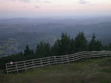 20 : 41