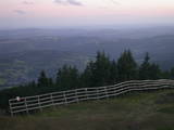 20 : 49