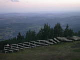 20 : 53