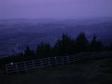 04 : 49