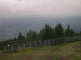 16 : 25