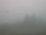 17 : 29