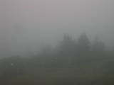 18 : 29