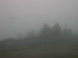 19 : 21