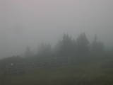 19 : 33
