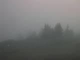 20 : 19